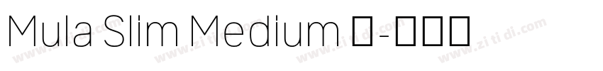 Mula Slim Medium 中字体转换
